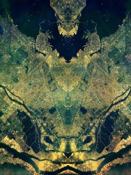 Synergy II