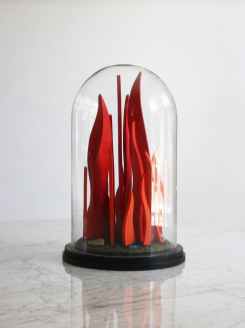 Anne Faith Nicholls - Flames