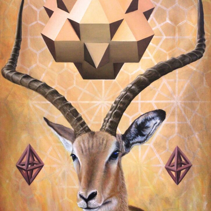 Iteration 89:Antelope/Action by Vincent Fink