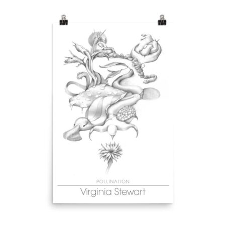 Pollination by Virginia Stewart