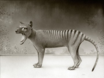 Travis Louie - Ode to Thylacines