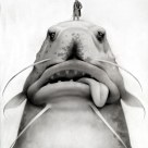 Travis Louie - Sir Frederic and His Leviathan